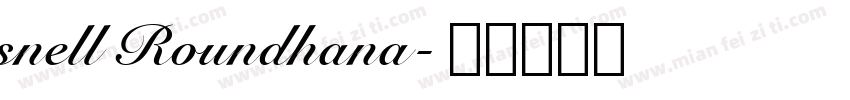 snell Roundhana字体转换